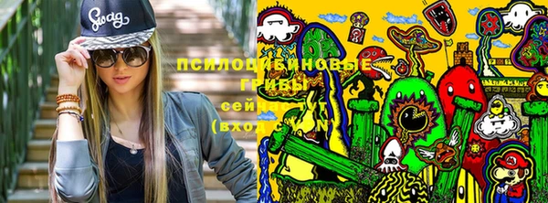 амф Абдулино