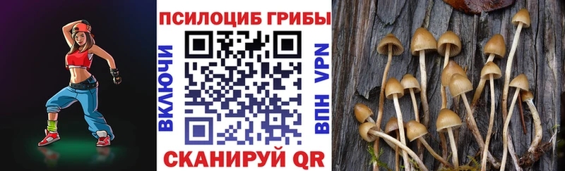 ОМГ ОМГ зеркало  Рыльск  Псилоцибиновые грибы MAGIC MUSHROOMS  дарнет шоп 